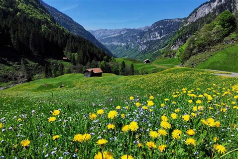 geheimtipp ausflug schweiz|Die 45 BESTEN Ausflugsziele ab Zürich (2024)